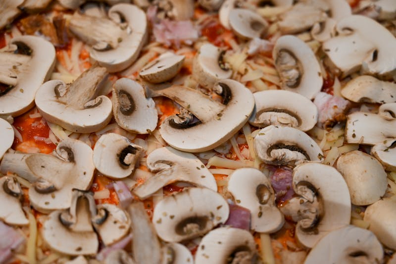 Truffle mushroom white pizza